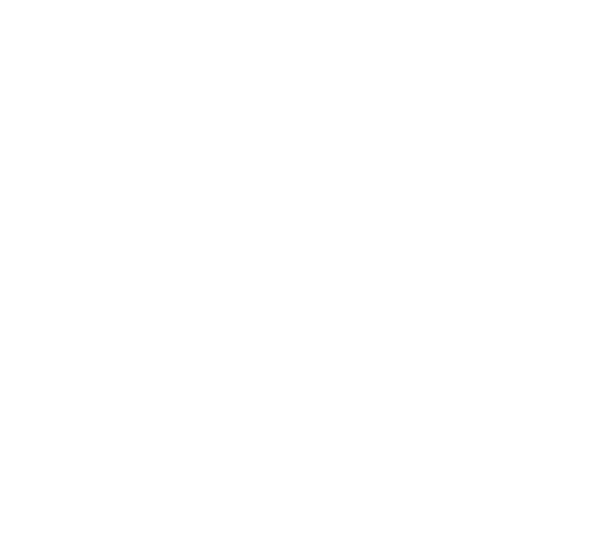 Trans Lifeline